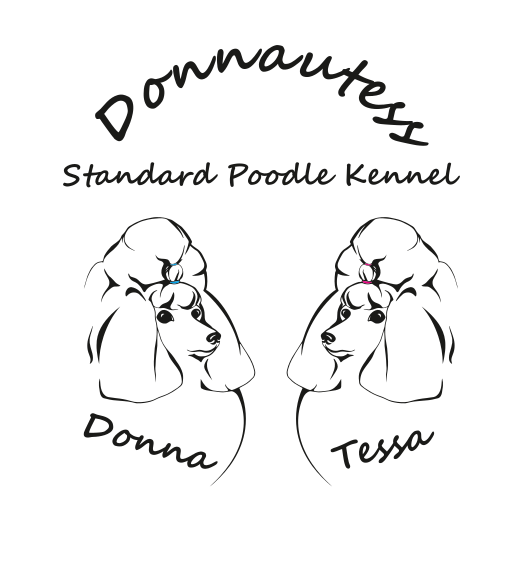 Standard Poodle Kennel